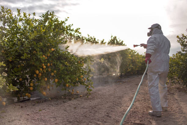 Best Cockroach Control Services  in Staic, CA