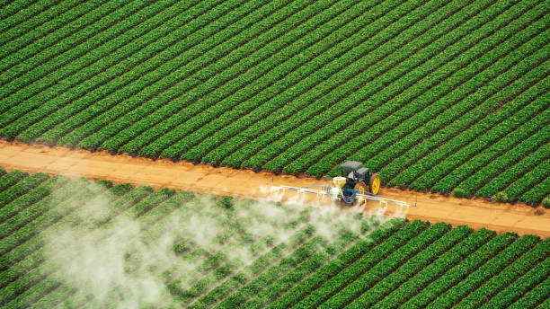 Best Termite Control Services  in Staic, CA